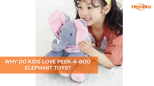 Why Do Kids Love Peek-A-Boo Elephant Toys?