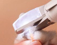 Pet Products Cat Nail Scissors Dog Nail Clippers Cat Nail Scissors With LED Nail Clipper