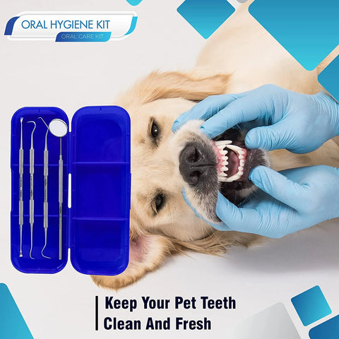 Oral Hygiene Dentist Tools Kit