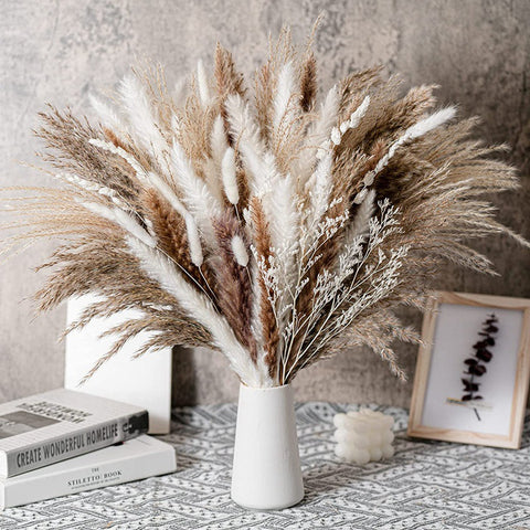 Small Whisky Puff Grass Reed Dried Flower Bundle
